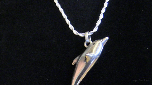 Solid Silver Dolphin and chain